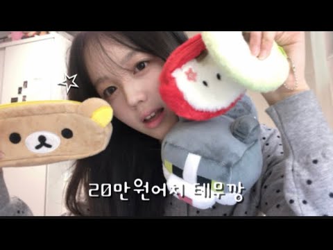 20만원어치 귀여운 테무깡! ☆彡