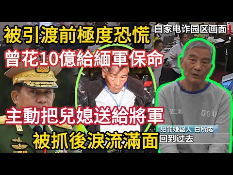 在被引渡前3個月，無盡的恐懼與悔意將他緊緊包圍，白所成做出最後的瘋狂。曾花10億給緬軍，主動把兒媳送給將軍，請求在緬北審判，將軍卻說：“現在佛主來了也保不了妳……”#X調查#wayne調查