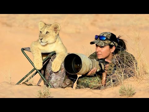 When Animals Completely Surprised Photographers 😂 Funniest Animals and Humans