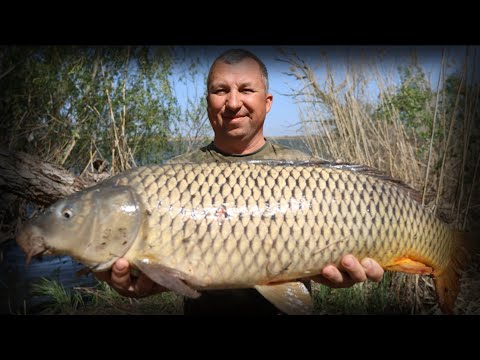 Рыбалка 2024 г.Весна. Астраханская земля. Нашли много сазана. Новый Hidea 9.9 pro.