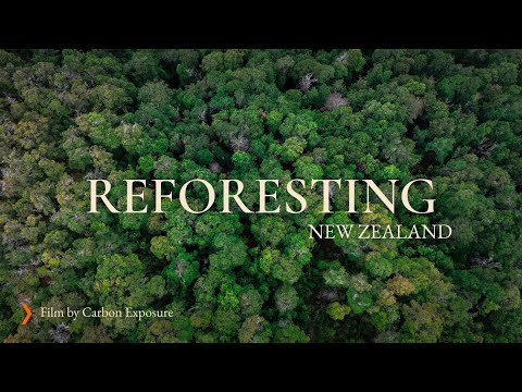 REFORESTING NEW ZEALAND - A Verity Project