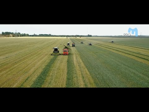 Заготовка сенажа. Сенаж из люцерны и тритикале. Весь процесс за 5 дней!