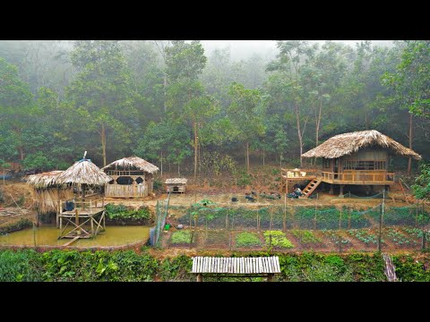 TIMELAPSE: 3 Years of Building a Farm in the Forest, P1( The Begining )