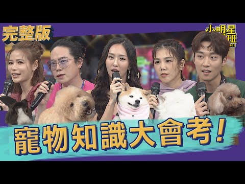 【完整版】你了解家中的毛小孩嗎？寵物知識大會考｜2022.06.16@我愛小明星大跟班