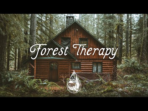 Forest Therapy π² - A Healing Indie/Folk/Pop Playlist