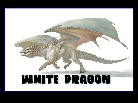 Dungeons and Dragons Lore: White Dragon