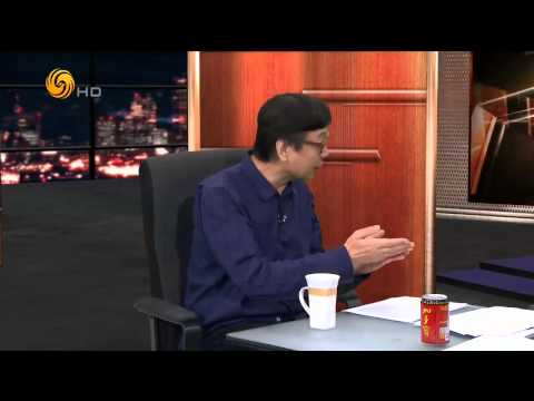 20141110 锵锵三人行 林玮婕：当主播也曾笑场 常借掐大腿来克制