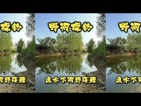 退水下河终得鲤，线组4加3，十斤也得翻 #原来钓鱼才是抖音运动顶流 #钓鱼 #野钓 #野河野钓 #户外野钓