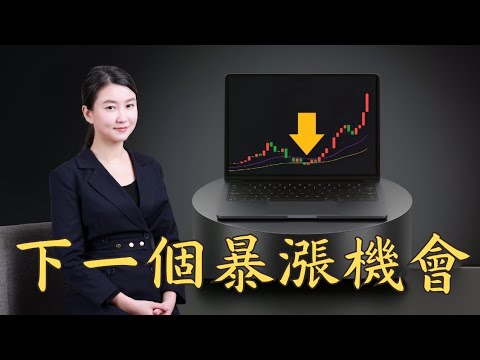 2024年底美國降息！十年一遇的暴富機會，如何投資手上的錢？｜Mila Yuen 投資日常