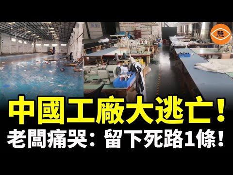 不只外資，連自己人也跑了！中國企業瘋狂外移，老闆痛喊：留下來只等死路一條！
