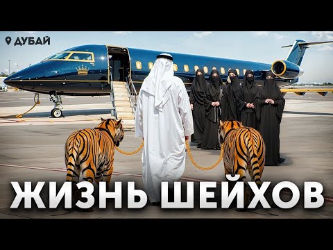 ТРИЛЛИОНЕРЫ МИРА. КАК ЖИВУТ И ОТДЫХАЮТ ШЕЙХИ ДУБАЯ? / Большой фильм