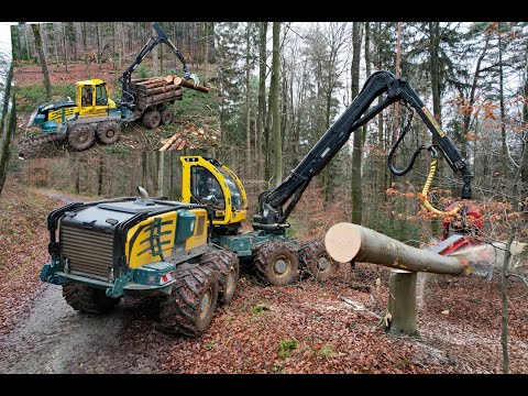 🌲4K| HSM 405 H4 & HSM 208F 18 Tonner • Harvester&Forwarder • Durchforstung • big trees • big machine