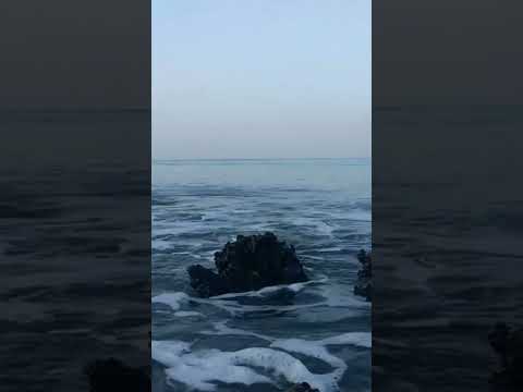 Je Restie Ici 🔥 #indila #frenchpop #frenchpop #musique #indilastyle #chanson