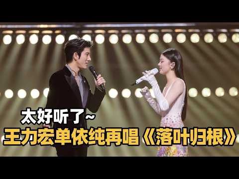 太好听了~王力宏&单依纯再唱《落叶归根》！满含深情听醉了~#歌手2025 #singer2025 #音乐 #单依纯 #王力宏 #leehomwang #落叶归根