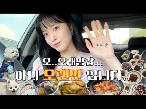 [VLOG] 얼굴 잊을만 할때 쯤 다시 돌아온 브이로그..🥹 | 갓생살기 프로젝트💭 | 다이어트 일상 👙 | 해피 추석 🌝 | 강아지 왕창 등장 브이로그 🐶