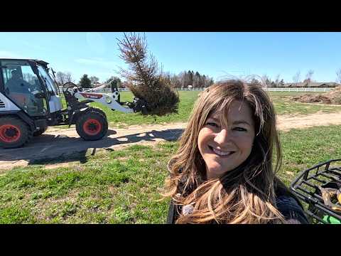 Seedling Tour, Planting & Removing Spruce Trees + Weeding! 🌱🌲🪓 // Garden Answer