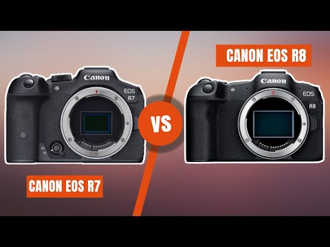 Canon R7 vs R8: Which Mirrorless Camera Should You Buy in 2025?