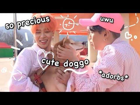 this is why i love bts…