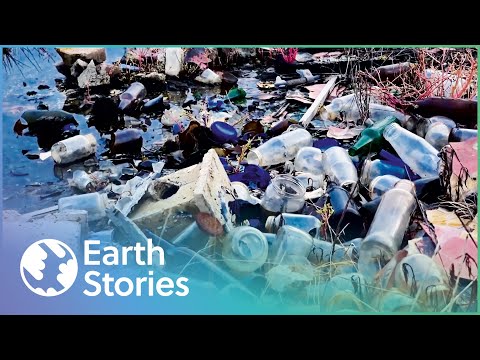 How The Mafia Has Turned Southern Italy Into A Toxic Wasteland