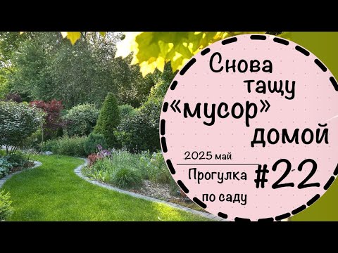 ☘️Прогулка по саду  - 22☘️Вечнозелёная аллея☘️Новые планы☘️Невероятная обновка☘️Обзор частного сада