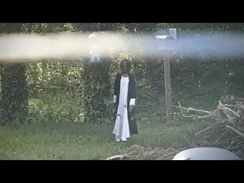 7 Most Terrifying Backyard Encounters Caught on Camera