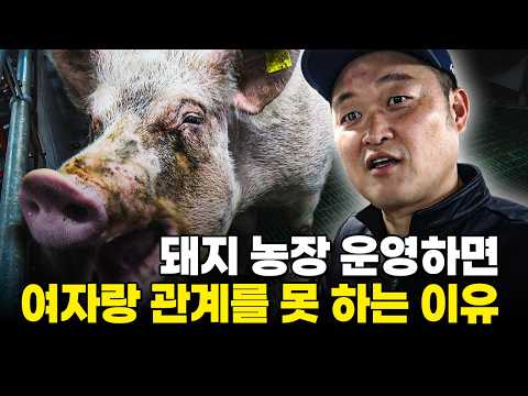 돼지농장 일하면 아내랑 잠자리 못하는 이유 [돼지농장 2부]