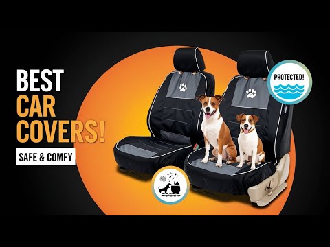 5 Best Dog Car Seat Covers for Safe & Comfortable Travel