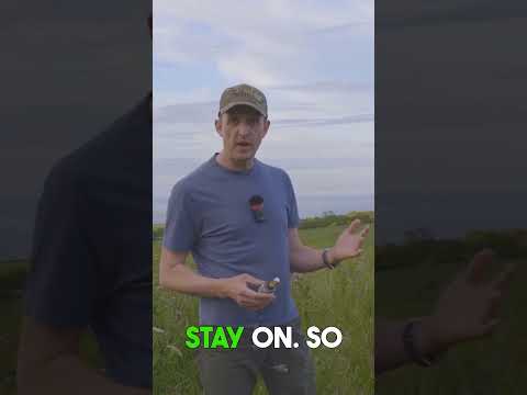 MELTED! I Tried 120 Watt Bulbs In My Old Car And This Happened!