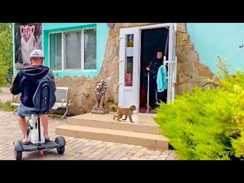 Вот это ДА! Люся знает где детский сад и сама в него БЕЖИТ, а Маня УДРАЛА из дома!