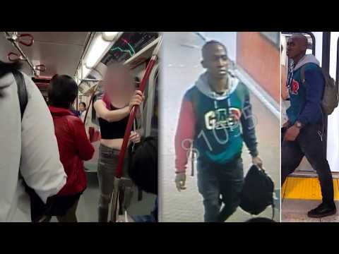 "I'm going to die": Toronto man gets stabbed multiple times in TTC subway, attacker pleads guilty