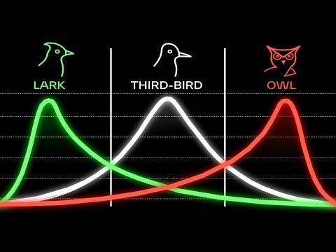 Know Your Chronotype. It'll Change Your Life.