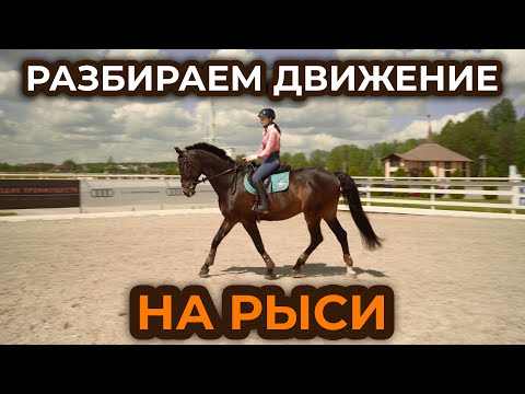 Работа на рыси / Посадка на рыси / Строевая и учебная рысь / Виды рыси / Нога облегчения на рыси