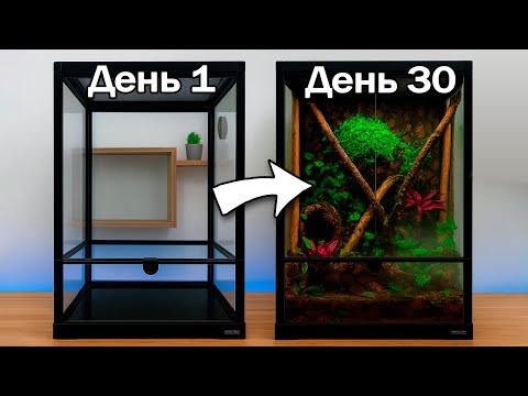 AN ECOSYSTEM WITH MULTIPLE ANIMALS. Tropical terrarium for banana-eating geckos