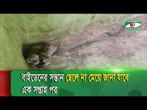 বাইডেনের সন্তান ছেলে না মেয়ে জানা যাবে এক সপ্তাহ পর