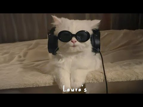 𝐏𝐥𝐚𝐲𝐥𝐢𝐬𝐭 신나고 싶은데 시끄러운 건 싫어 🎶✨ 적당히 리드미컬한 감성 팝