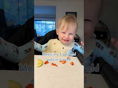 Realistic Toddler Meals: What My 1-Year-Old Actually Eat