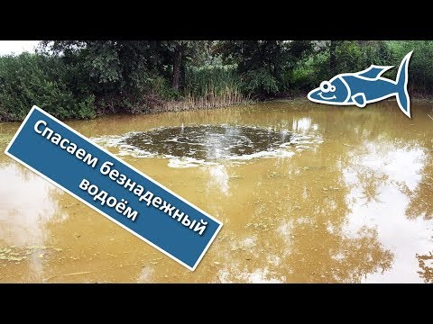 How to clean a pond. Installing a bottom aerator. Part 1