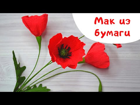 Мак из гофрированной бумаги / Полевые цветы  DIY / How to make  poppy