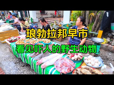 逛琅勃拉邦早市，看见当地人售卖吓人的野生动物，在这不敢吃肉了