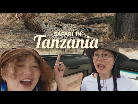 谁说牛马不能去非洲看动物大迁徙！| Tanzania travel guide | 4K