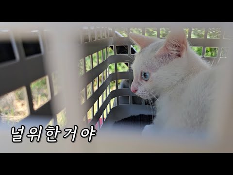 끝까지 키운다면서 어디 데려가는데?