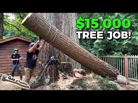 My MOST CHALLENGING Tree Removal Job Yet! 5 BIG Firs with NO DROP ZONE!!!