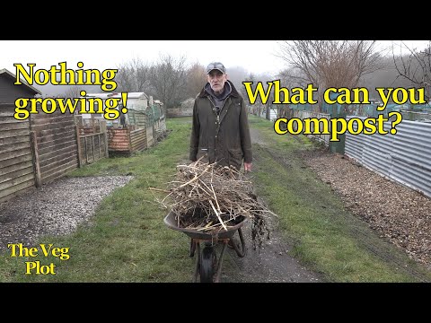 What can you compost when nothing is growing ? #composting