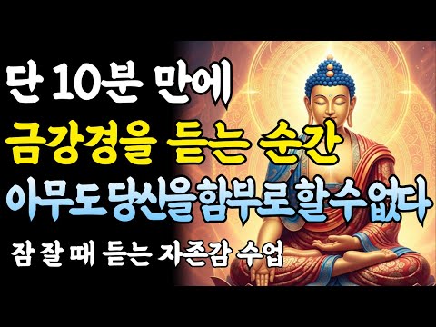 금강경을 듣는 순간 인생이 기적처럼 바뀝니다 | 자면서 듣는 흔들리지 않는 마음 | 부처님 말씀 | 불교 명상