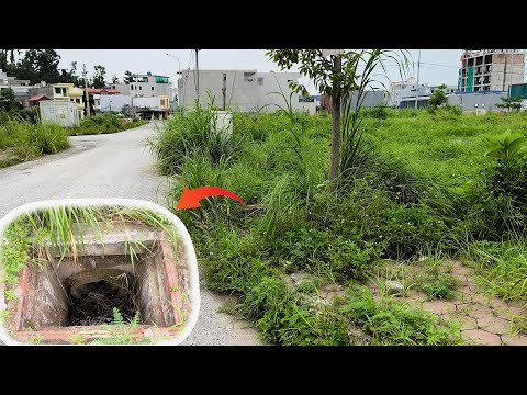 Revamping Overgrown Sidewalk and Two Open Drain Covers – Would You Step On It?