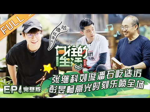 【ENG SUB】《向往的生活3》第4期 起名鬼才张继科叫彩灯“彩鸡”？ 潘石屹教何炅锯木头做鸭舍 Back to field S3 EP4【芒果TV生活风尚频道】