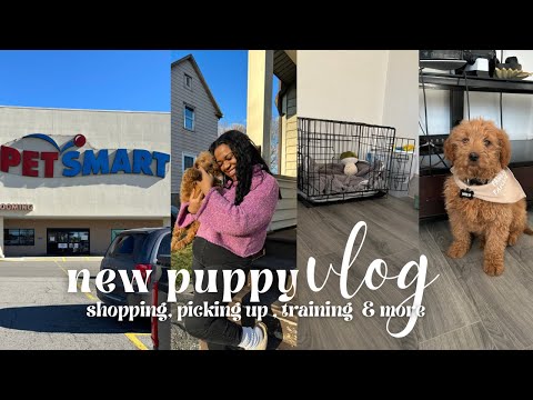 GETTING MY FIRST PUPPY : FIRST 72 HOURS VLOG : shopping, picking up, training & more | Keara Lashae