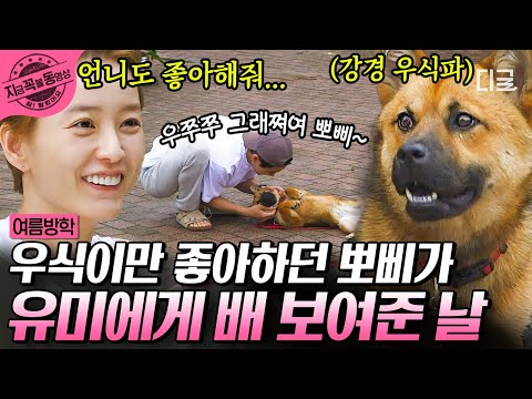[#SummerVacation] Poppy, will you please come to me? Jung Yu-mi vs. Choi Woo-shik 🐶 What will Pop...