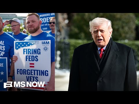 ‘This is what Republicans get’: TX Dem DEFEATS Trump backed candidate in State Senate Runoff