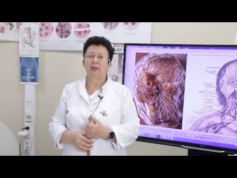 Как предупредить болезнь Альцгеймера и деменцию методами самопомощи. [Шишова О.И.]